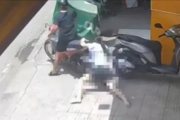 TP.HCM: Bắt giữ kẻ cướp giật ở tiệm vàng, kéo lê nữ nhân viên trên đường