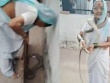 Phát hiện rắn chui vào nhà, cụ bà 70 tuổi có hành động gây sốc