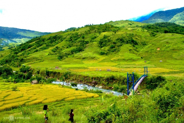 Mùa gặt trên ruộng bậc thang núi Ngọc Linh - 7