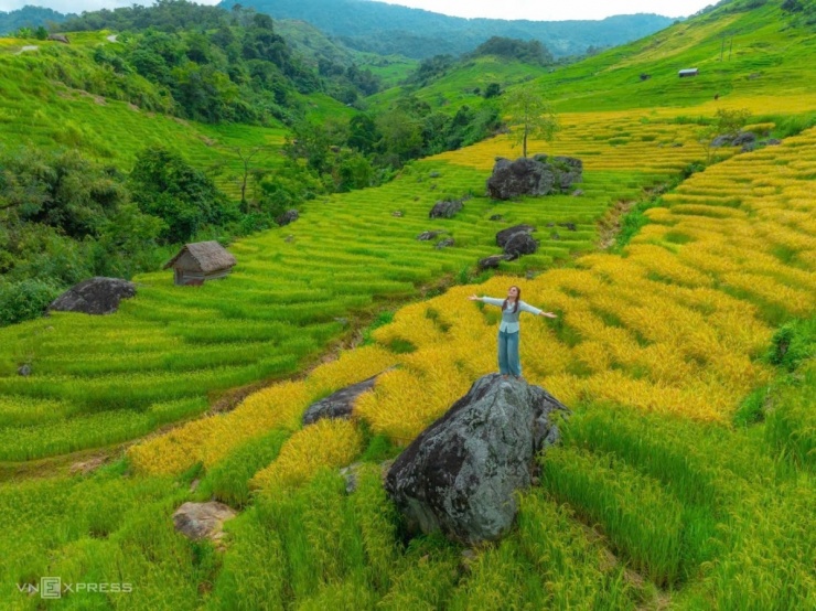 Mùa gặt trên ruộng bậc thang núi Ngọc Linh - 8