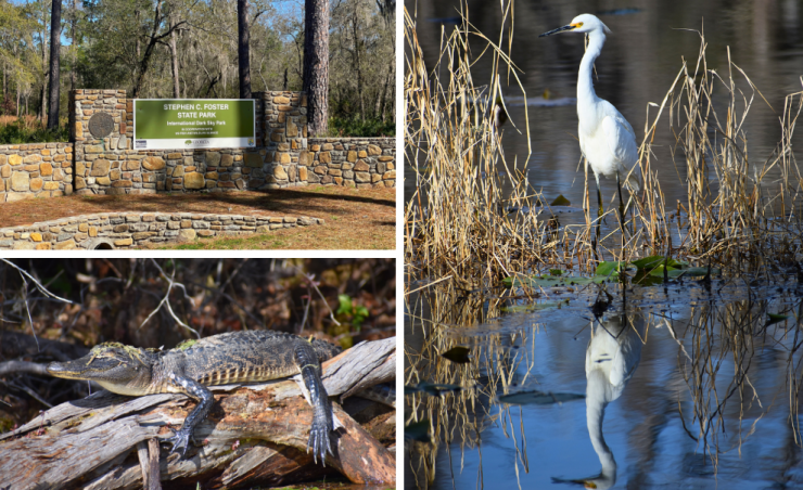 Ảnh: Stephen C. Foster State Park