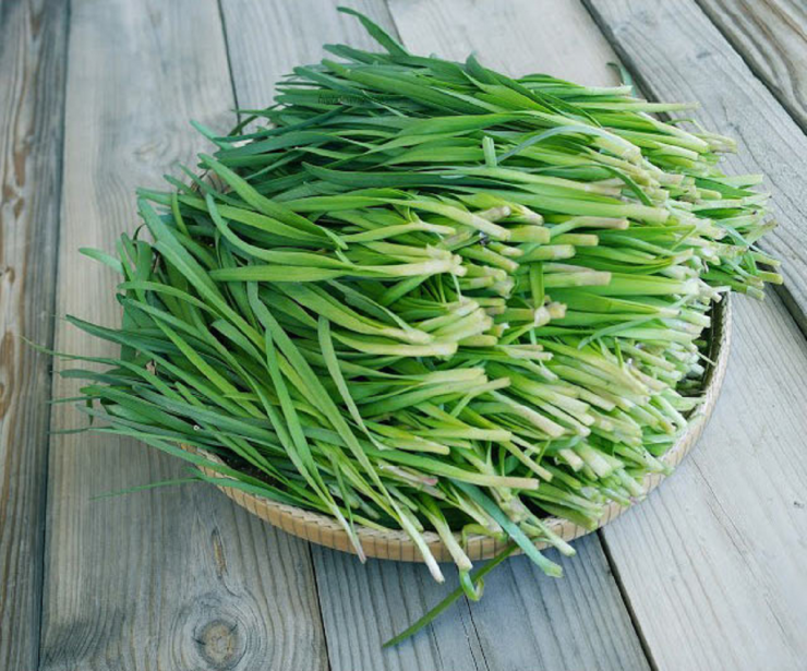 Loại rau như "nhân sâm của người nghèo", ở quê có đầy bỏ qua quá phí - 2