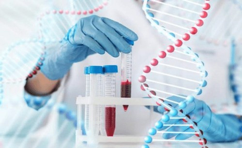 Xét nghiệm máu giúp phát hiện bệnh sớm