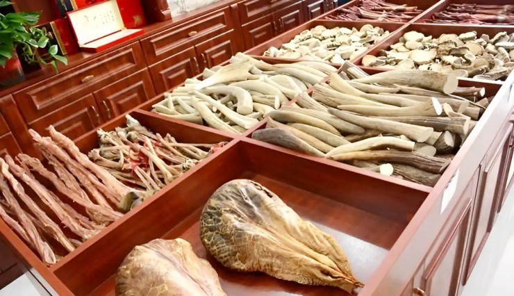 Kiếm hàng chục tỷ/năm nhờ nuôi loài “khó đẻ, dễ chết” - 3