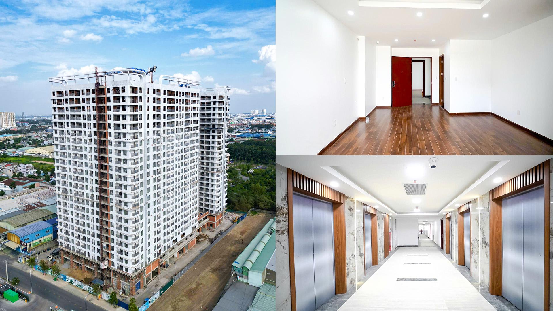 Thực tế dự án Benhill ngày 31/7/2025