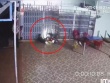 Clip: Thanh niên mất lái, phóng xe đâm sập cửa xếp nhà dân trong tích tắc