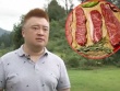 Bỏ phố lên núi, hô biến bò thường thành “siêu bò”, gần nửa tỷ/con