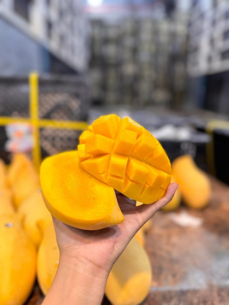 Tùy vào chất lượng xoài sẽ có giá bán khác nhau.