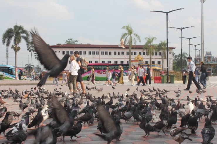 Lý do người Việt thích du lịch Malaysia - 14