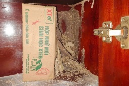 Chiếc tủ gỗ của bà tôi