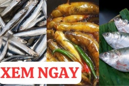 Tin tức sức khỏe - 3 loại cá “nhỏ mà có võ” cực giàu canxi, tốt cho xương khớp