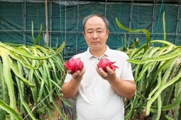 Từ thu ve chai sang làm nông dân, mỗi năm nhẹ nhàng kiếm vài tỷ