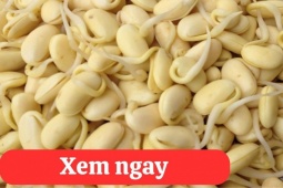 Tin tức sức khỏe - “Tái sinh” khớp gối với 2 món ăn được người xưa ví là “thần dược” phục hồi xương khớp