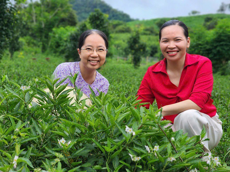 Được sự ủng hộ của bạn bè và khách hàng, chị Hà (áo đỏ) ngày càng thành công hơn với mô hình nông nghiệp của mình.