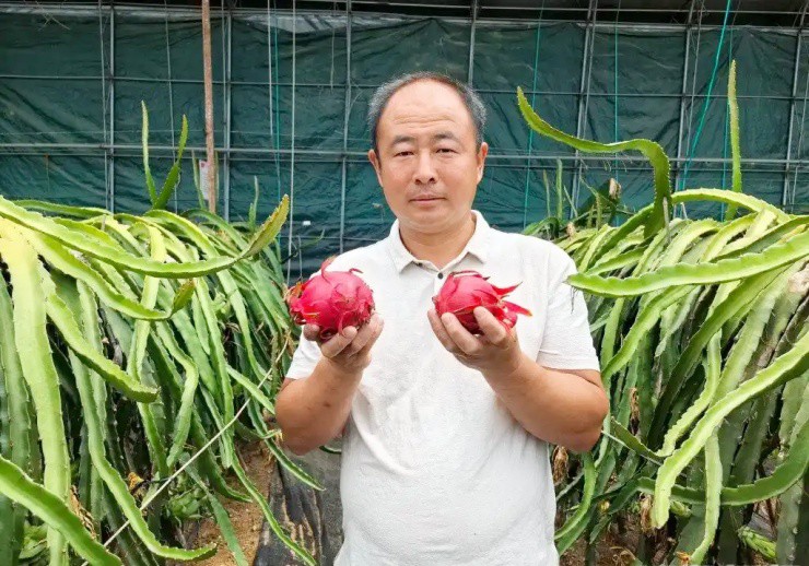Từ thu ve chai sang làm nông dân, mỗi năm nhẹ nhàng kiếm vài tỷ - 1
