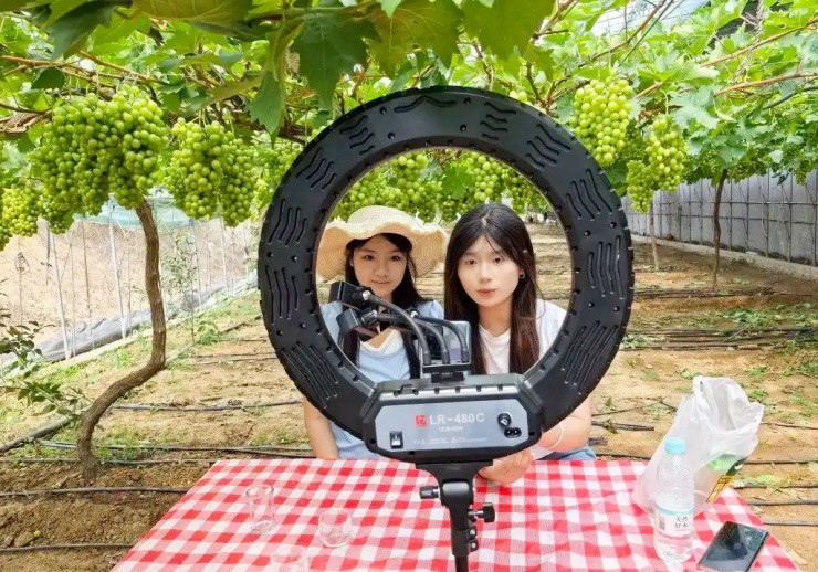 Từ thu ve chai sang làm nông dân, mỗi năm nhẹ nhàng kiếm vài tỷ - 3