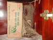 Chiếc tủ gỗ của bà tôi