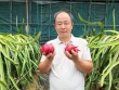 Từ thu ve chai sang làm nông dân, mỗi năm nhẹ nhàng kiếm vài tỷ