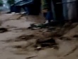 12 người chết và mất tích sau trận lũ kinh hoàng lúc rạng sáng ở Điện Biên