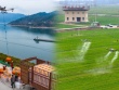 Những cánh đồng 'không người lái' tại Trung Quốc