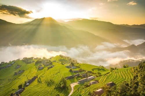 Săn mùa lúa sớm trên những triền núi Tây Bắc. Ảnh Internet
