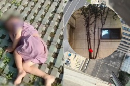 Bé 3 tuổi rơi từ tầng 18, sống sót nhờ cây đỡ