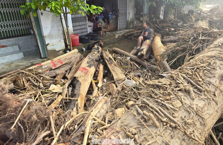 Hàng loạt cây gỗ khủng kẹt lại trên đường sau lũ - 3