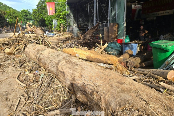 Nhiều cây gỗ "khủng" bị cuốn trôi kẹt lại trước cổng nhà người dân