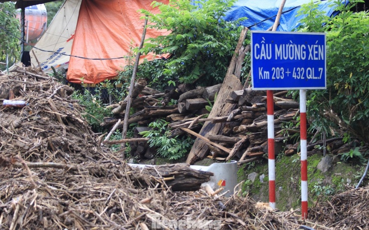 Hàng loạt cây gỗ khủng kẹt lại trên đường sau lũ - 14
