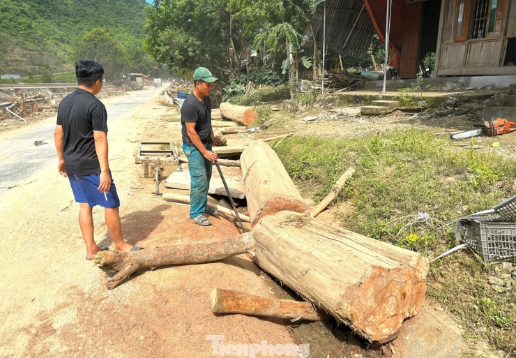 Hàng loạt cây gỗ khủng kẹt lại trên đường sau lũ - 10