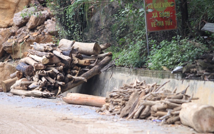 Tại xã Mường Xén (Nghệ An), lượng củi, gỗ từ trận lũ cuốn về rất lớn. Những ngày qua, người dân địa phương đã cắt, xếp gọn 2 bên đường.