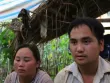 Gia đình mất cùng lúc 3 con nhỏ trong đêm sạt lở ở Điện Biên