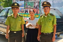 Rùa núi vàng, khỉ mặt đỏ cùng hàng loạt động vật quý hiếm được người dân giao nộp