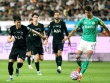 Trực tiếp bóng đá Tottenham - Newcastle: 