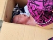 Đôi nam nữ cãi nhau rồi bỏ lại thùng giấy có bé sơ sinh