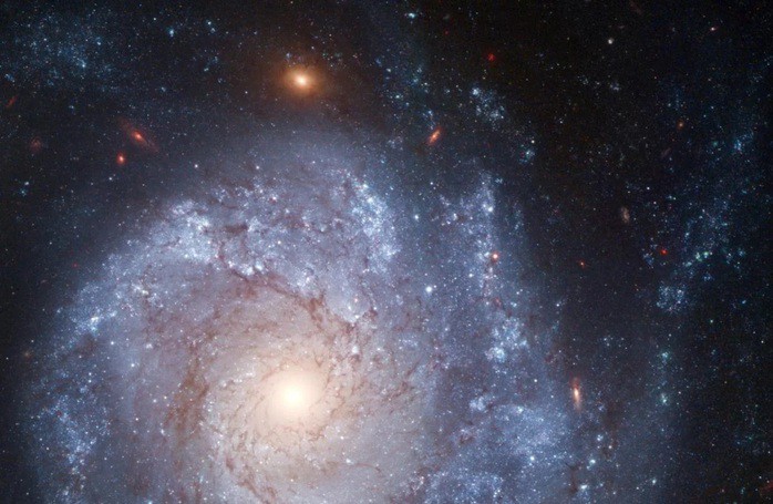 Thiên hà NGC 1309 với vật thể đặc biệt là một siêu tân tinh loại Iax ở vùng ngoại vi - Ảnh: NASA/ESA