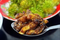 Loại côn trùng gây " nhức nhối " mùa hè làm cách này giòn ngon khó cưỡng