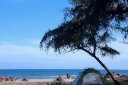 Du lịch - 4 tọa độ cắm trại ven biển ở Lâm Đồng khiến dân xê dịch mê mẩn