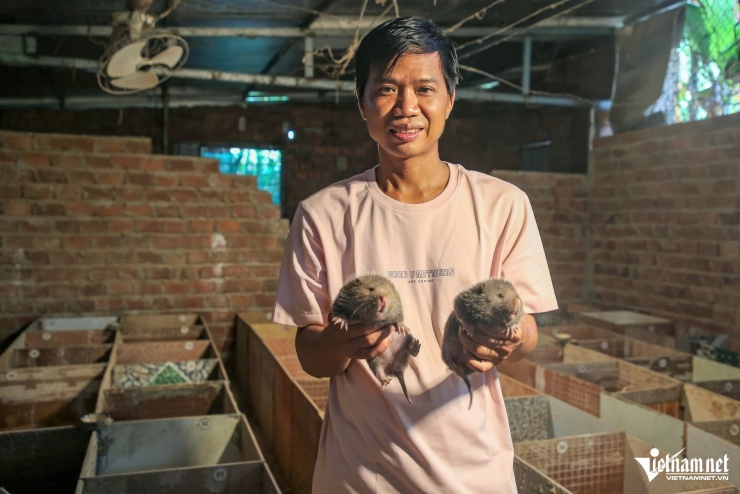 Anh Bùi Thanh Lương chọn mô hình nuôi dúi để khởi nghiệp tại quê nhà.