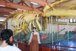 Du lịch - Lăng thờ bí ẩn ở đảo Lý Sơn, có 2 bộ xương cá khổng lồ đã tồn tại hàng thế kỷ