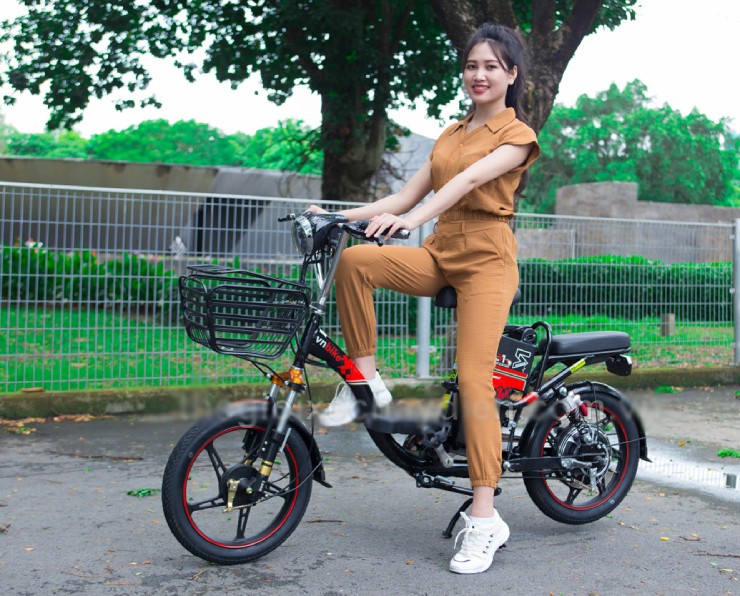 Giá xe đạp điện Vnbike mới nhất đầu tháng 8/2025 - 2