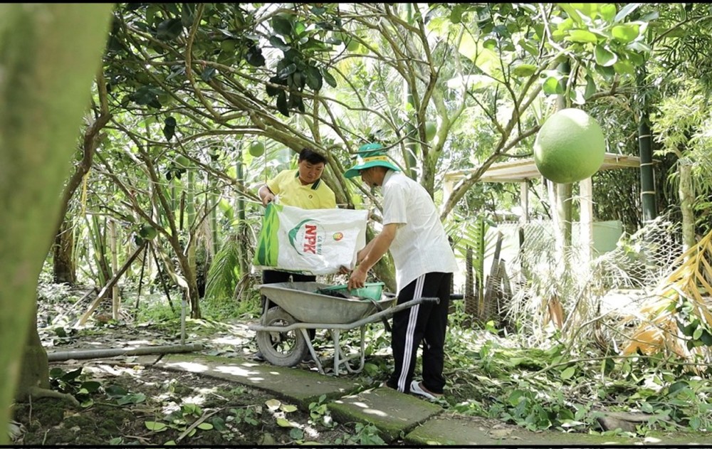 Cán bộ kỹ thuật PBCM luôn đồng hành cùng bà con trong từng giai đoạn phát triển của vườn cây