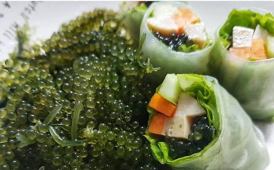 &#39;Siêu thực phẩm&#39; bảo vệ sức khỏe tim mạch có sẵn ở biển Việt Nam, bán đầy trong các siêu thị, chế biến nhiều món ngon - 2