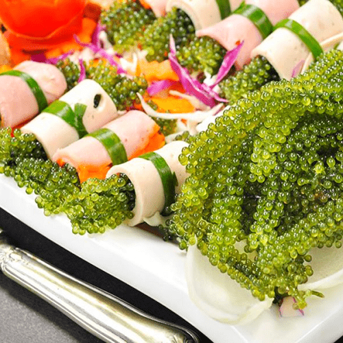 &#39;Siêu thực phẩm&#39; bảo vệ sức khỏe tim mạch có sẵn ở biển Việt Nam, bán đầy trong các siêu thị, chế biến nhiều món ngon - 3