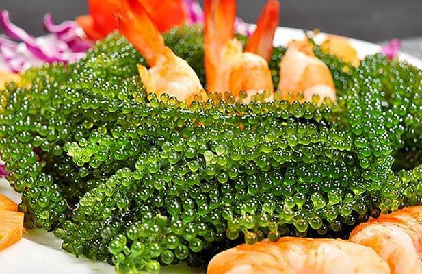 &#39;Siêu thực phẩm&#39; bảo vệ sức khỏe tim mạch có sẵn ở biển Việt Nam, bán đầy trong các siêu thị, chế biến nhiều món ngon - 11