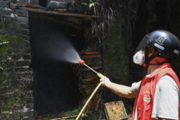 Trung Quốc "dốc toàn lực" dập dịch Chikungunya