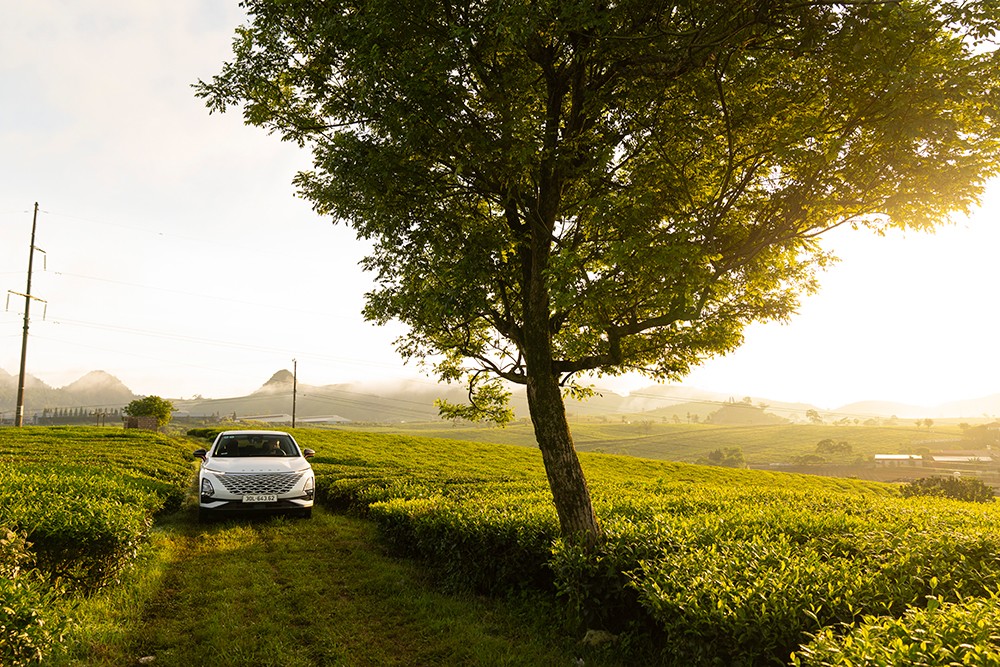 Omoda C5 - mẫu xe SUV được yêu thích bởi nhiều khách hàng trẻ tại Việt Nam