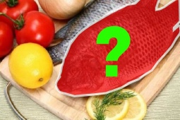 Tin tức sức khỏe - Việt Nam có 1 loại cá mệnh danh là &quot;gà nước&quot;, thịt thơm ngon lại là “thuốc đại bổ” xương khớp