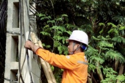 Hoá đơn tiền điện tăng gần 10 triệu đồng vì dây của nhà mạng viễn thông