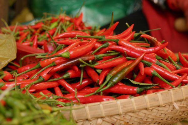 Loại quả thuộc nhóm "tốt nhất thế giới", ở Việt Nam vừa nhiều vừa rẻ - 2
